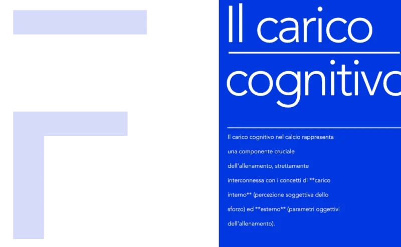 Il Carico Cognitivo